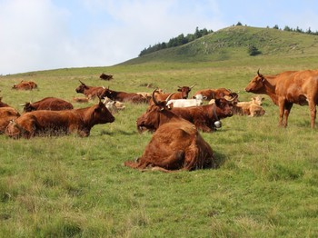 Photo n° 18 of the location