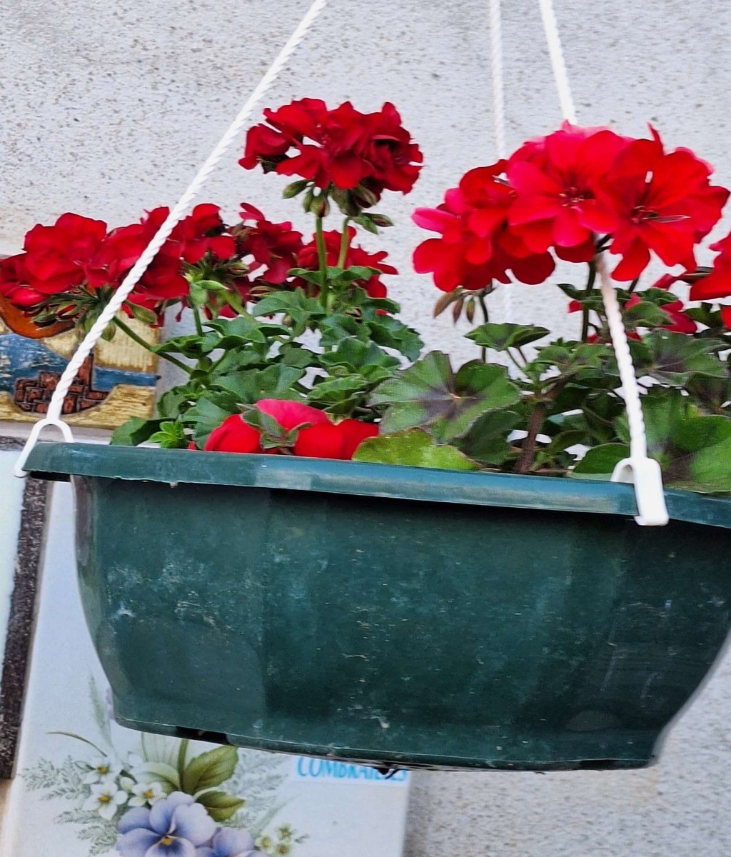 Photo n° 12 de la location