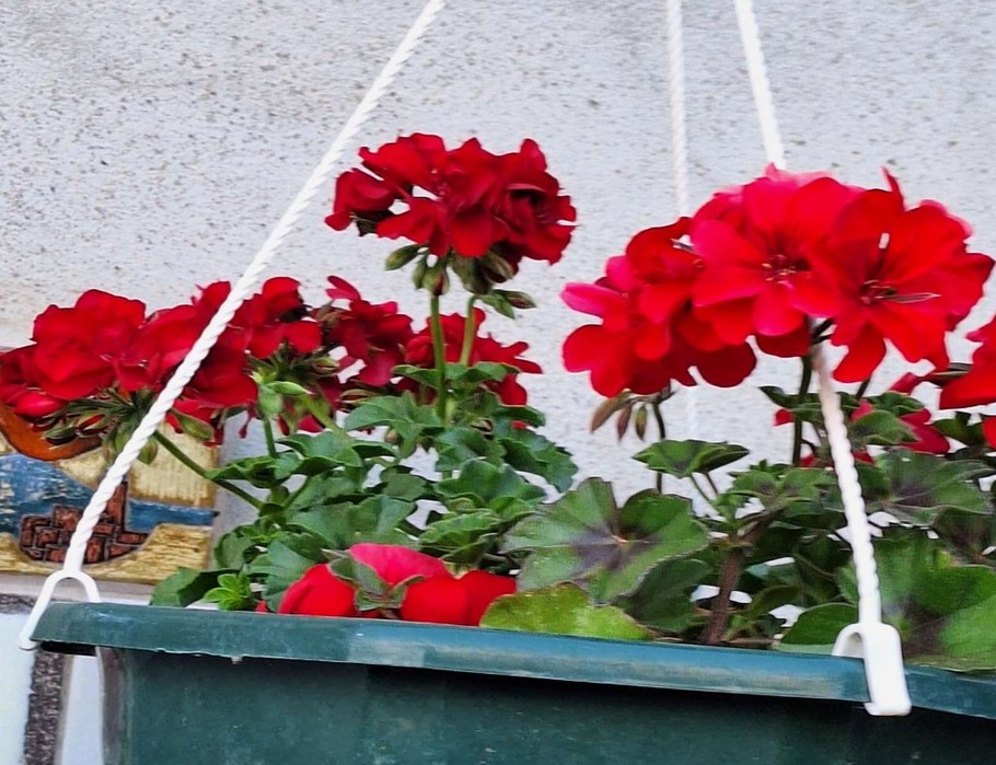 Photo n° 12 de la location