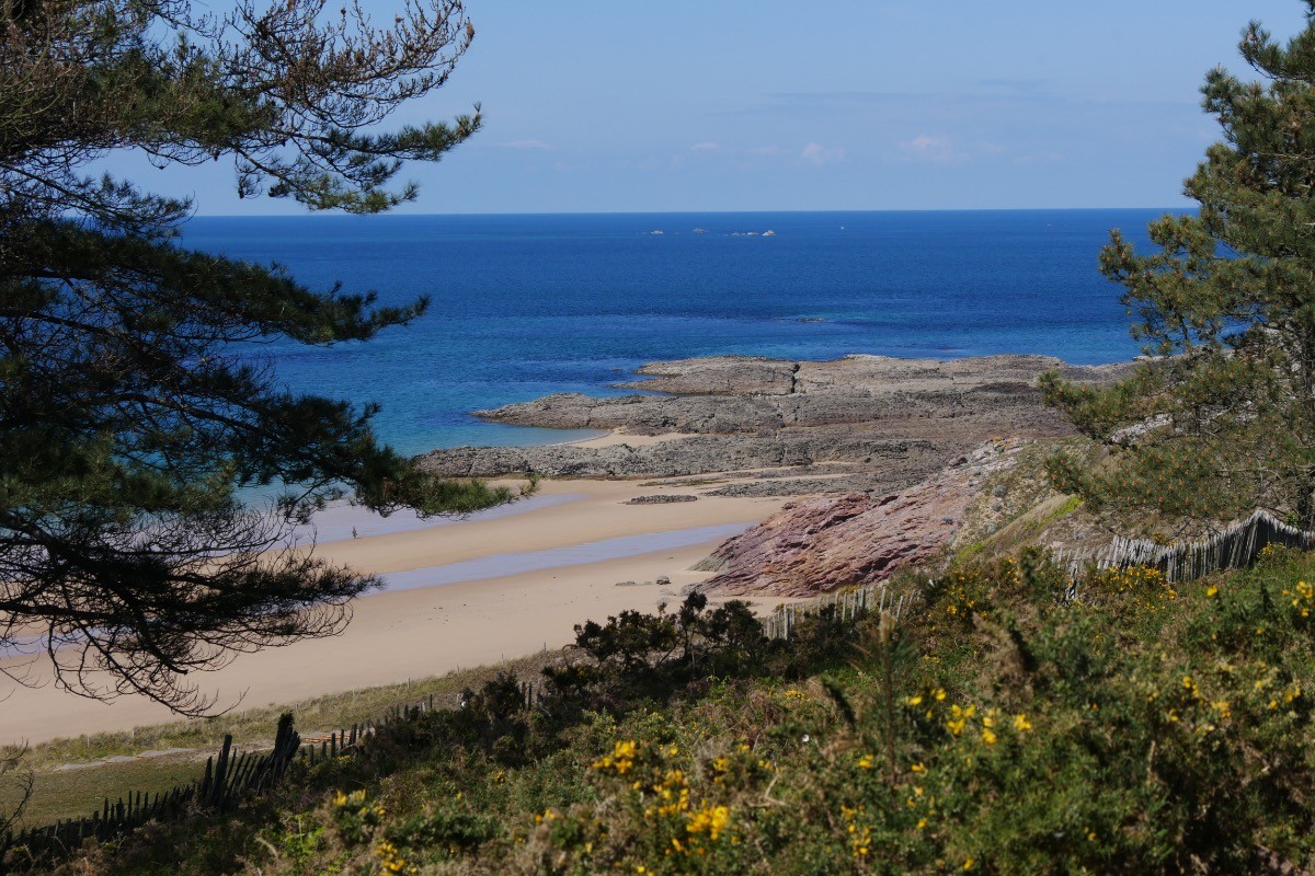 Plage sauvage