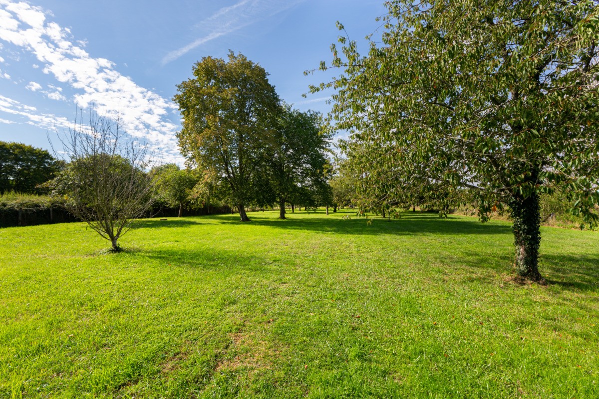 Photo n° 20 de la location
