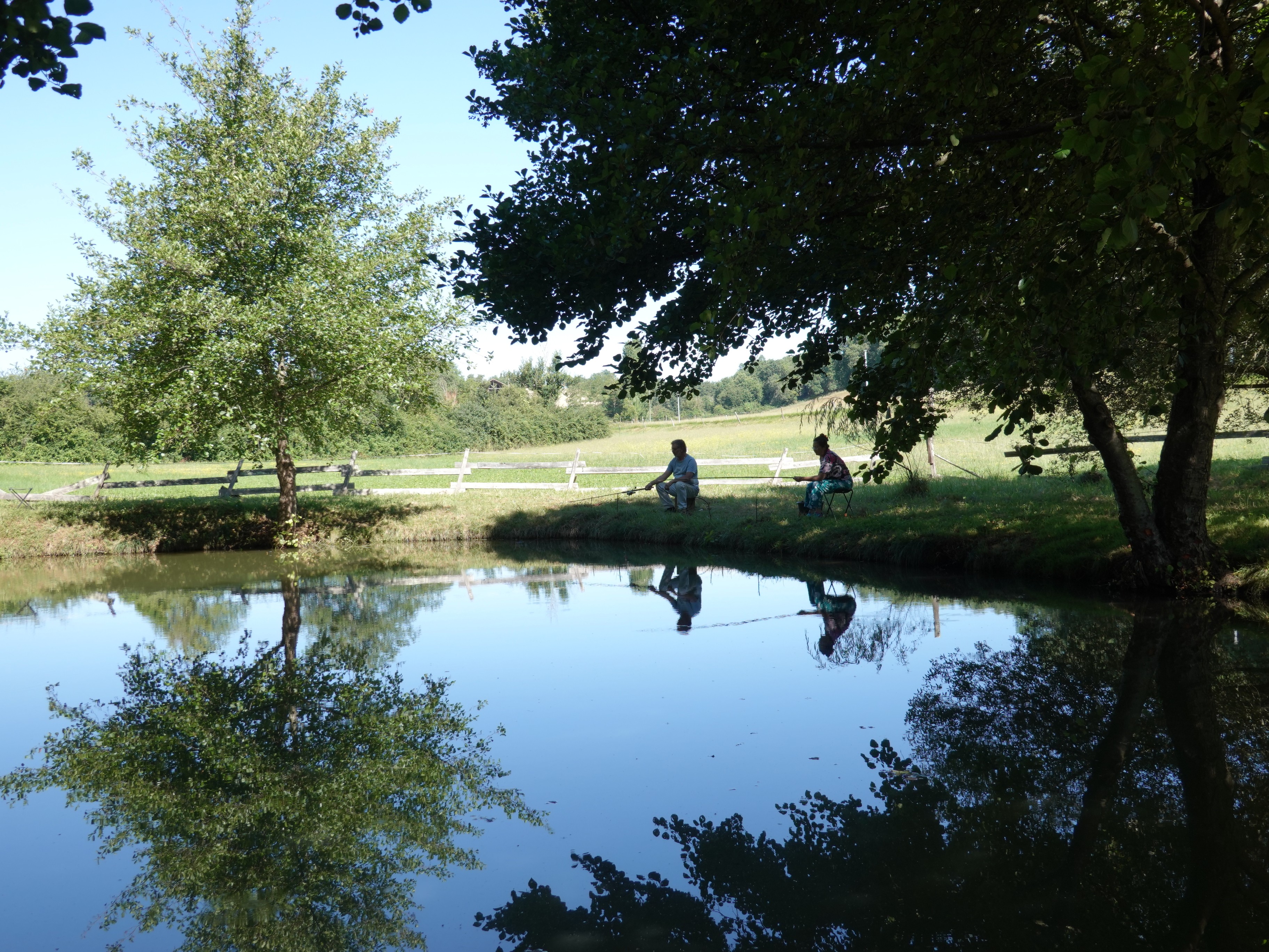 Le lac de pêche de la ferme