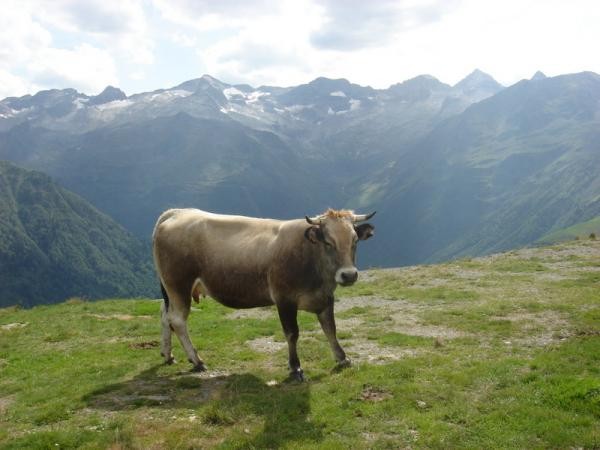 randonnée facile et "nature"