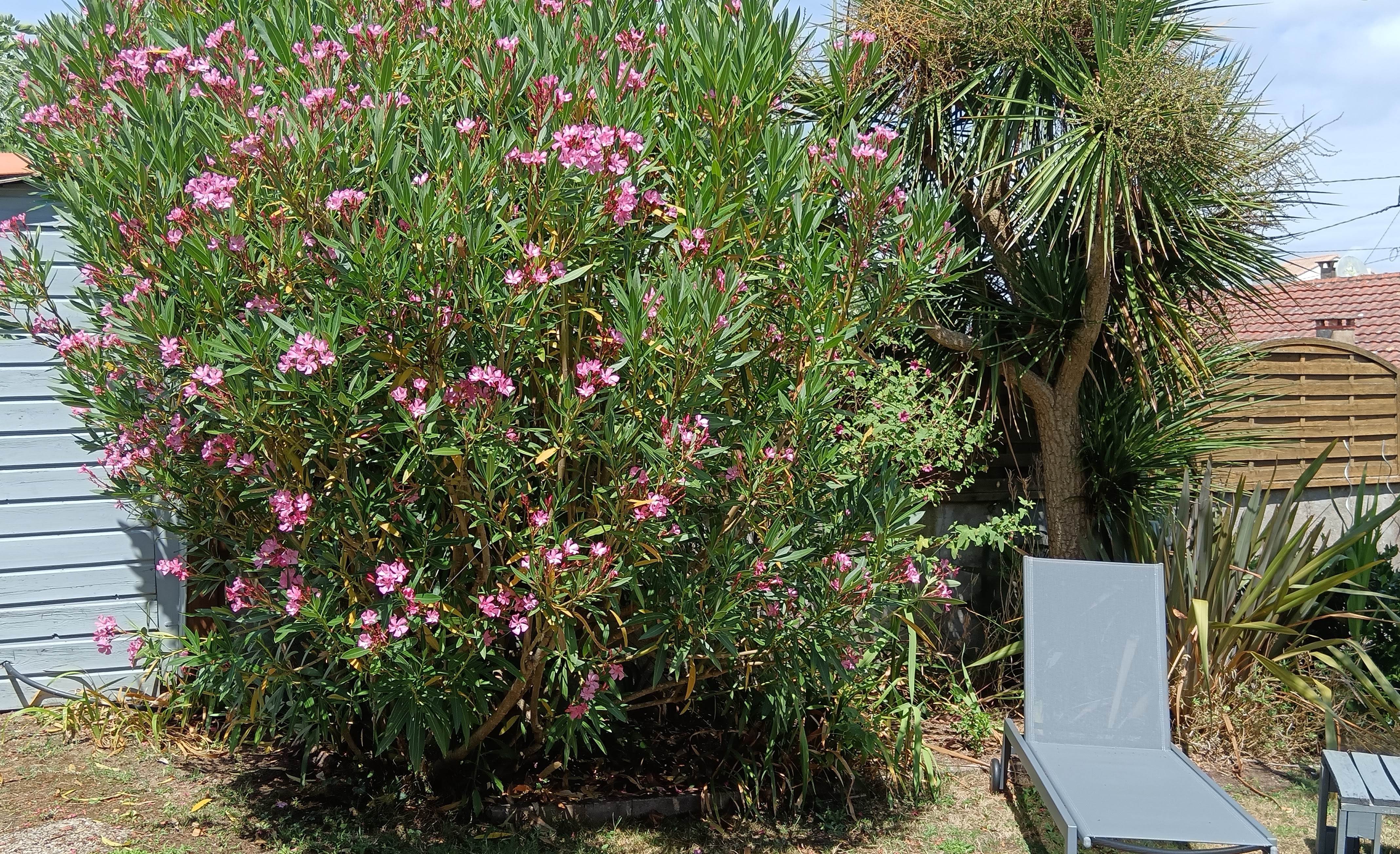 Photo n° 7 of the location