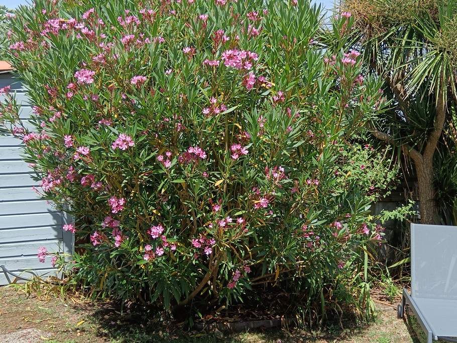 Photo n° 7 of the location