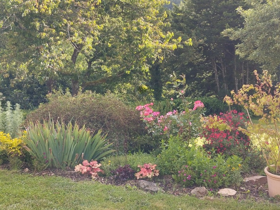 Photo n° 12 de la location