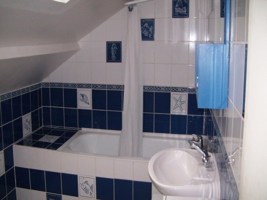salle de bain avec une baignoire et rideau de douche pour avoir les deux fonctions .
