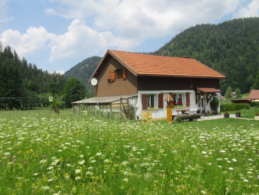 La petite maison dans la prairie - Maison au calme entre Gérardmer et La Bresse – Proche lac de Retournemer