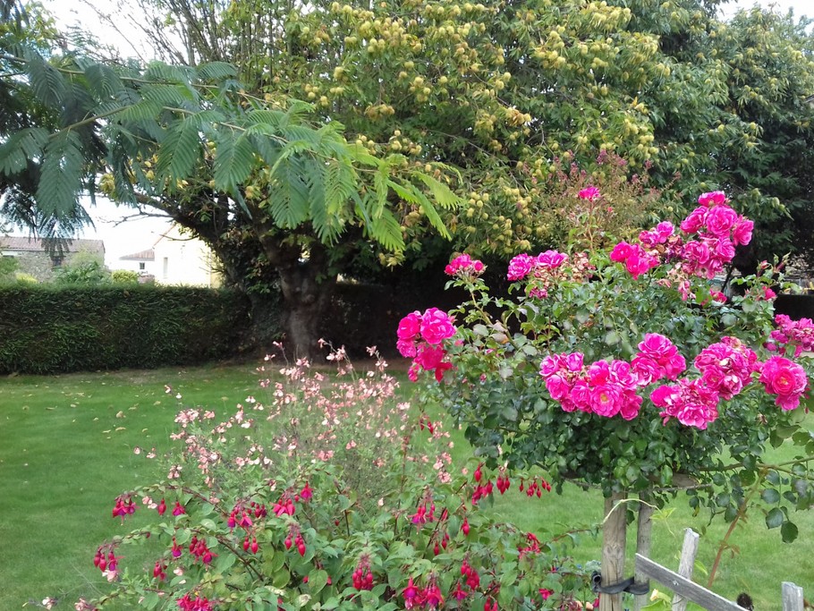 Photo n° 14 de la location