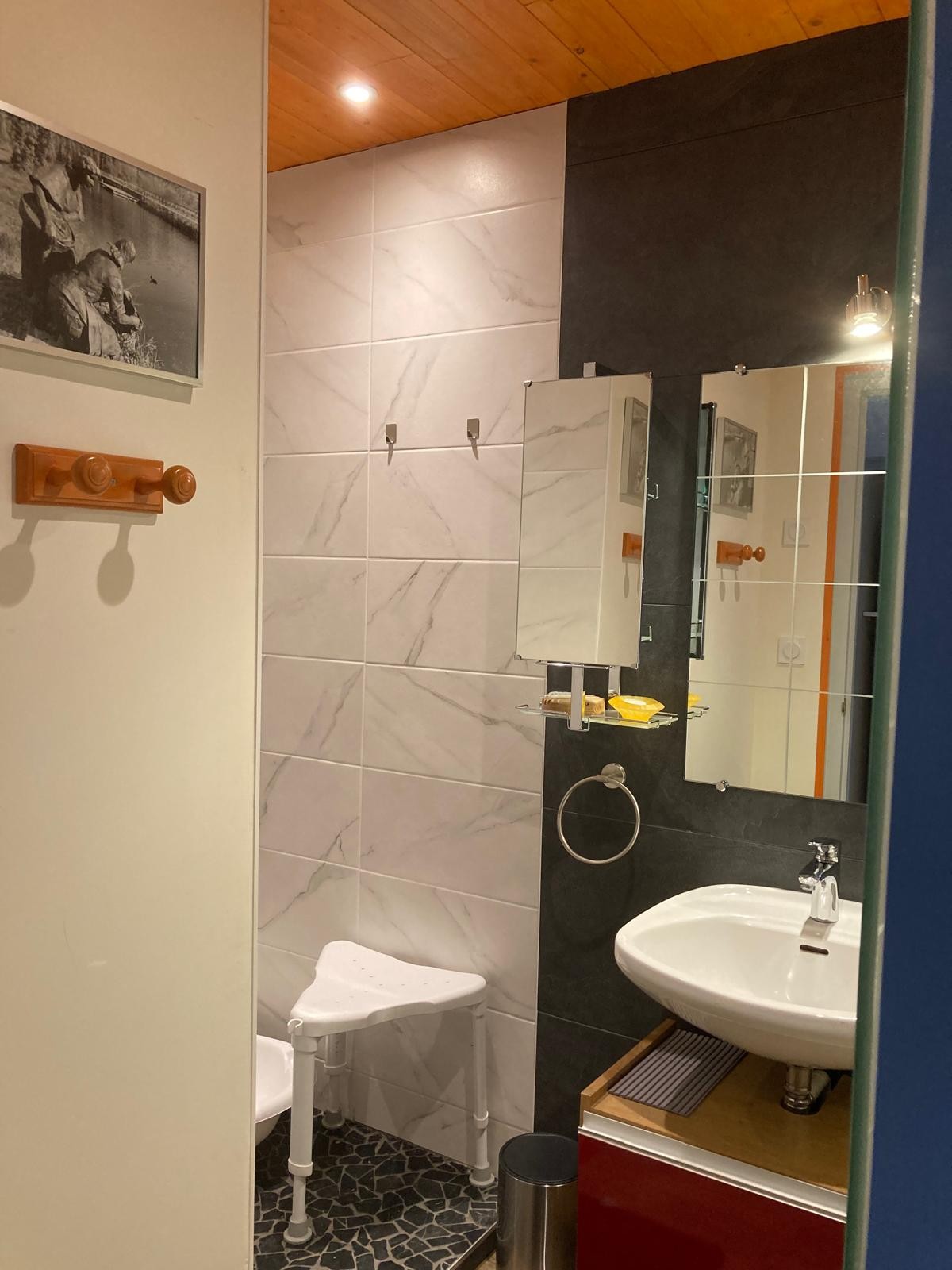 Salle d'eau  - Appartement les Tulipes