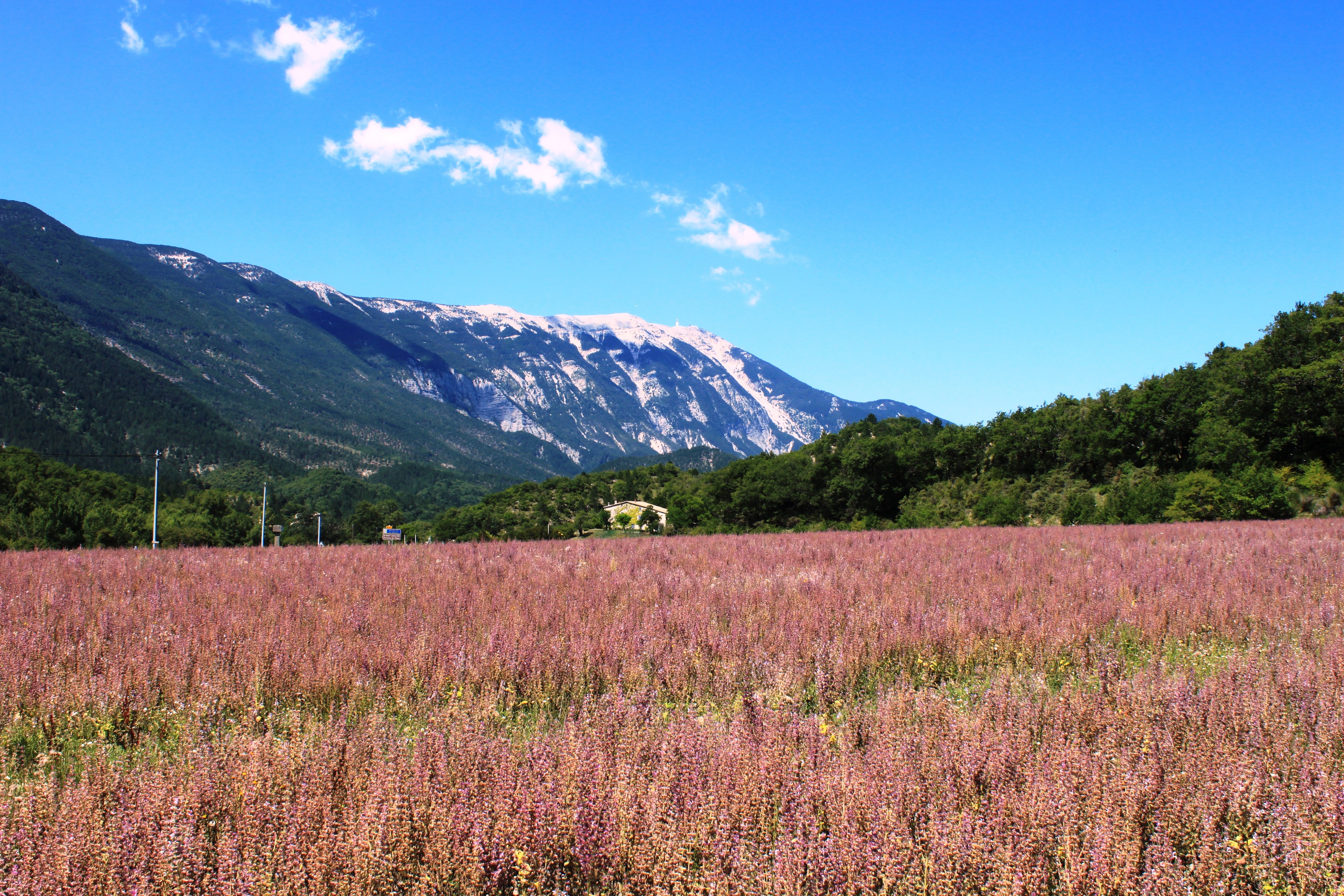 Photo n° 23 of the location