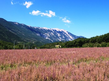 Photo n° 23 of the location