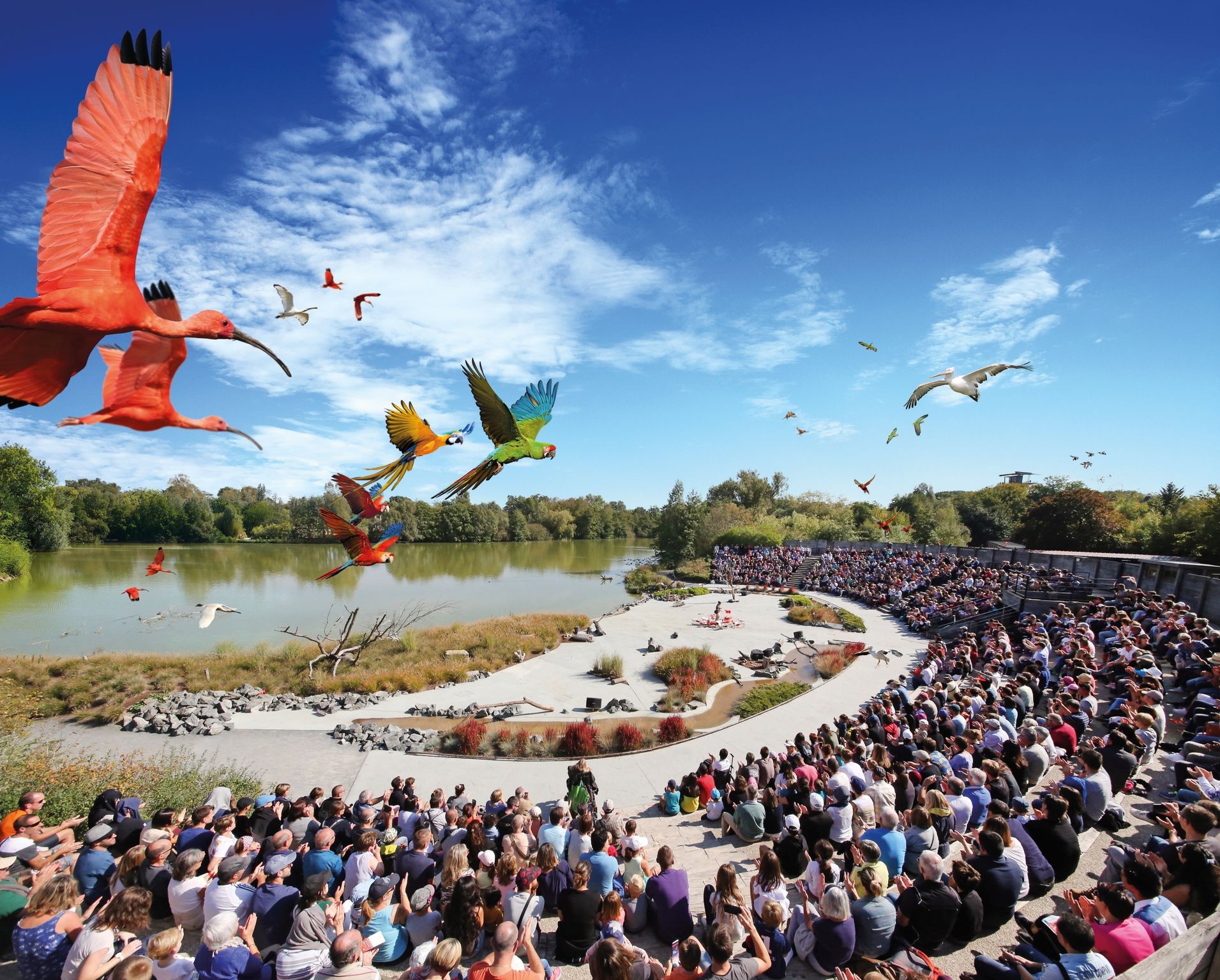 Bird park - Villars les Dombes