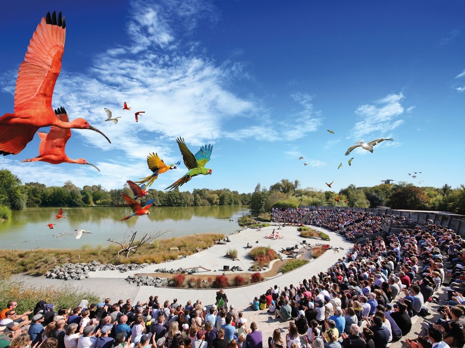 Bird park - Villars les Dombes