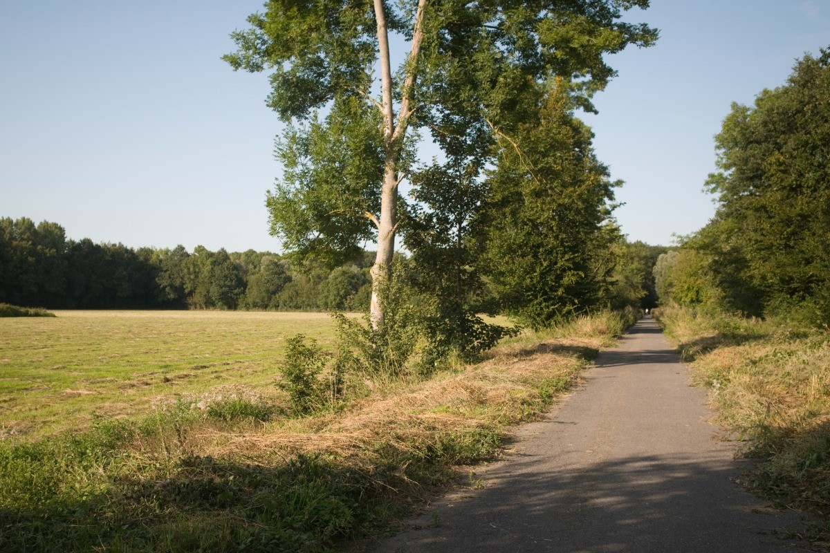 Photo n° 17 of the location