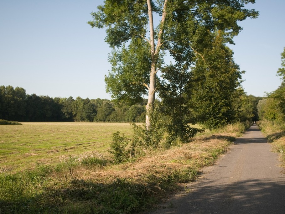 Photo n° 17 de la location