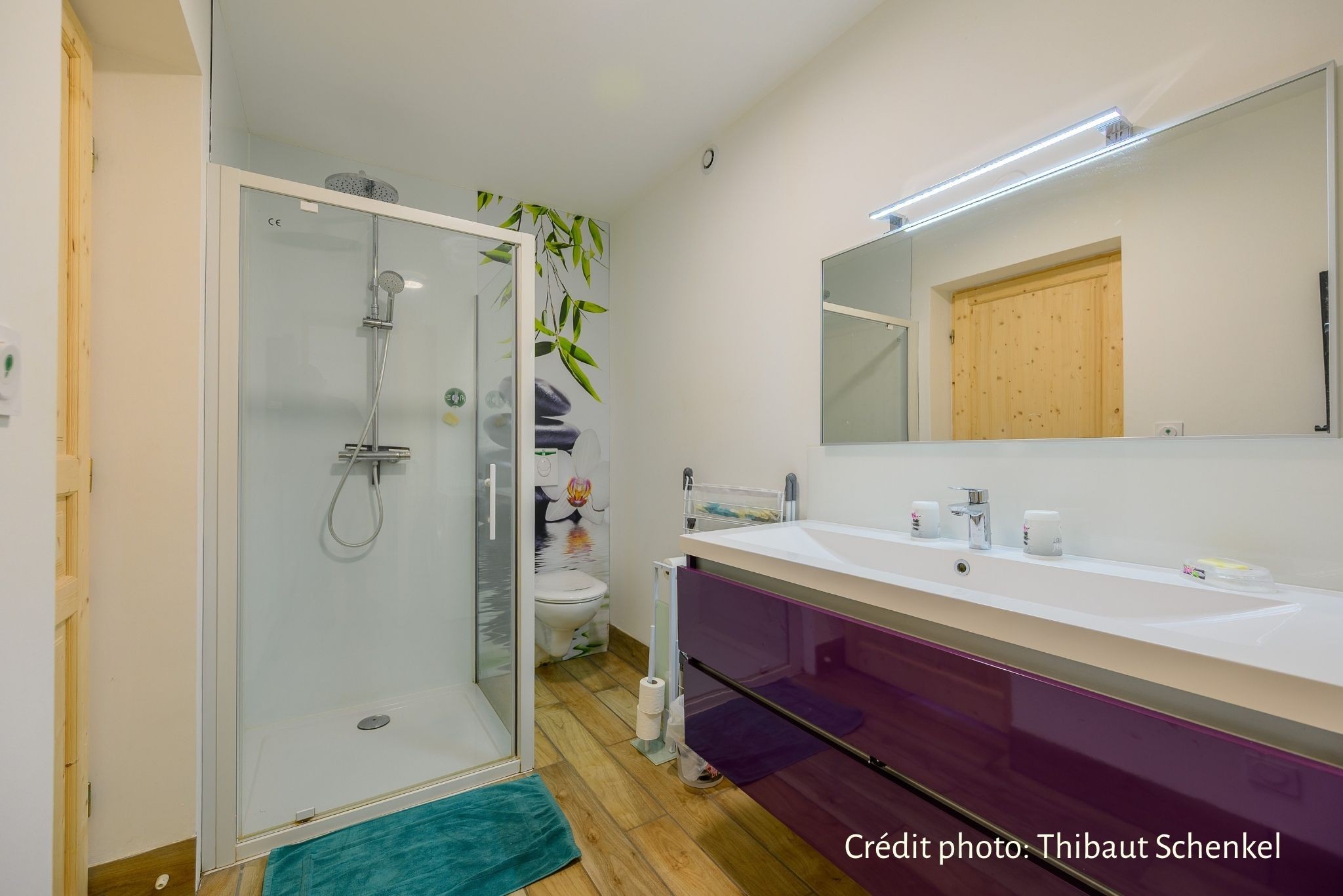 Salle de bains avec toilettes et douche