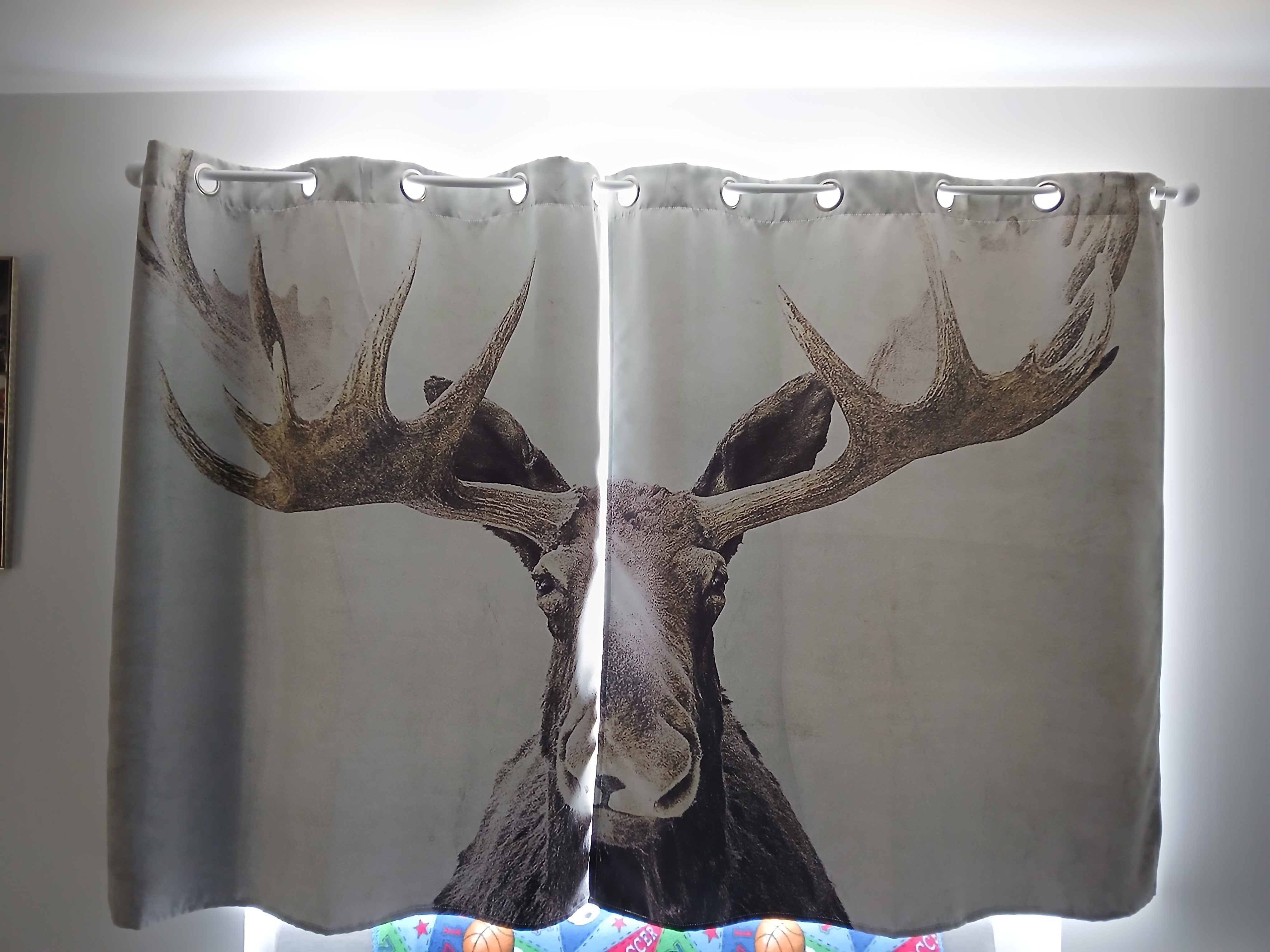 Les Vieilles Brêles Holiday Cottage – Ossages, Landes – On the edge of the Basque Country and Béarn