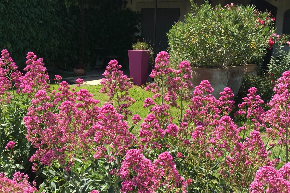 Gîte Le Levant -  Le Jardin