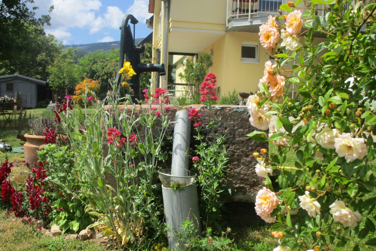 Photo n° 14 de la location