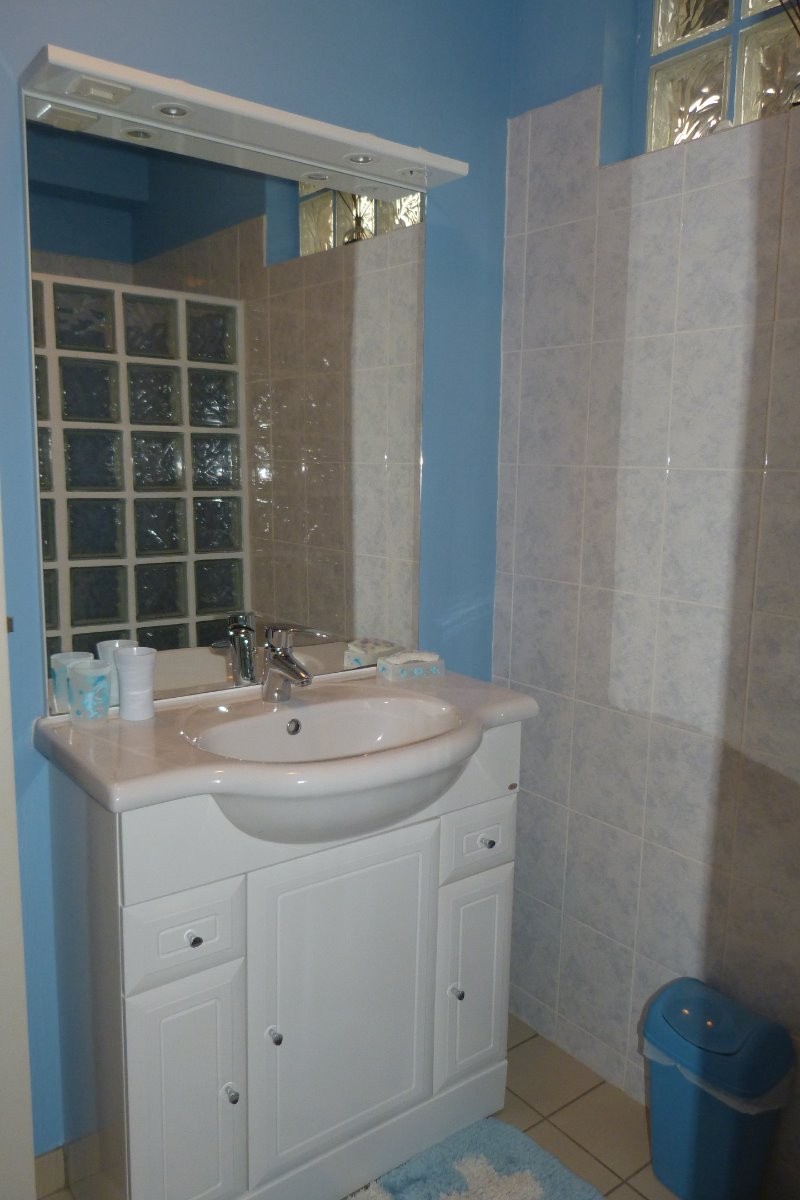 vasque salle de douche ( rez de chaussée)