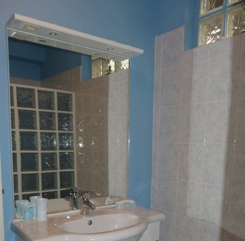 vasque salle de douche ( rez de chaussée)