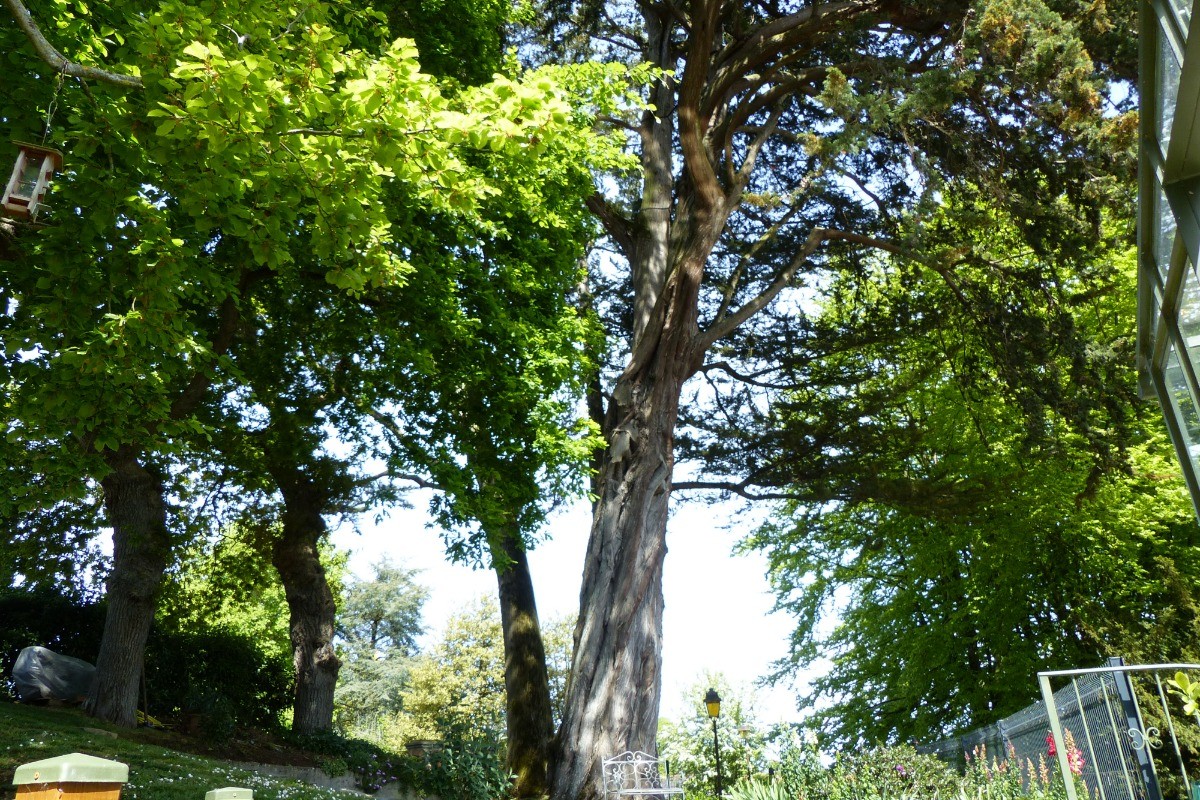 Photo n° 10 of the location