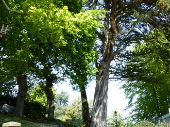 Photo n° 10 of the location