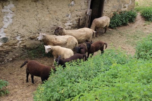 Photo n° 13 de la location