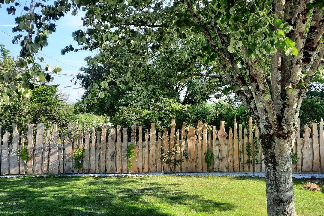 Espace commun - sous le beau tilleul