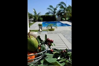 Photo n° 7 de la location