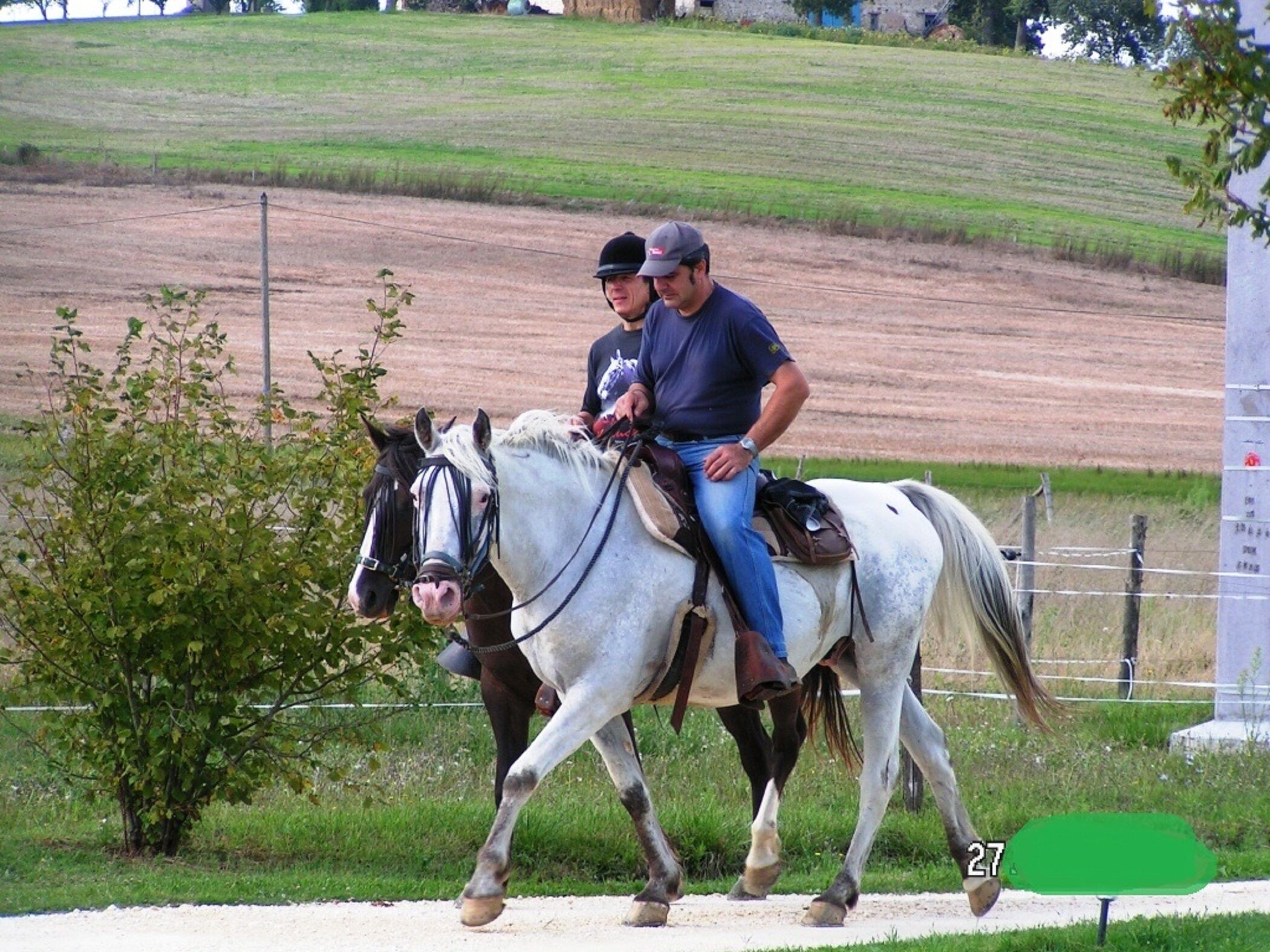 horses and welcoming hikers