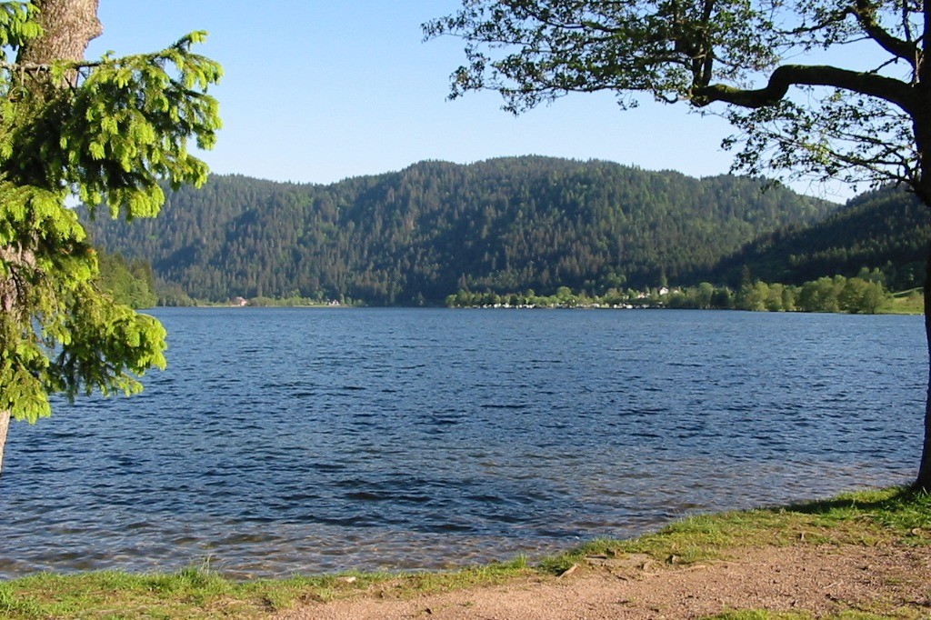 Lac de Longemer