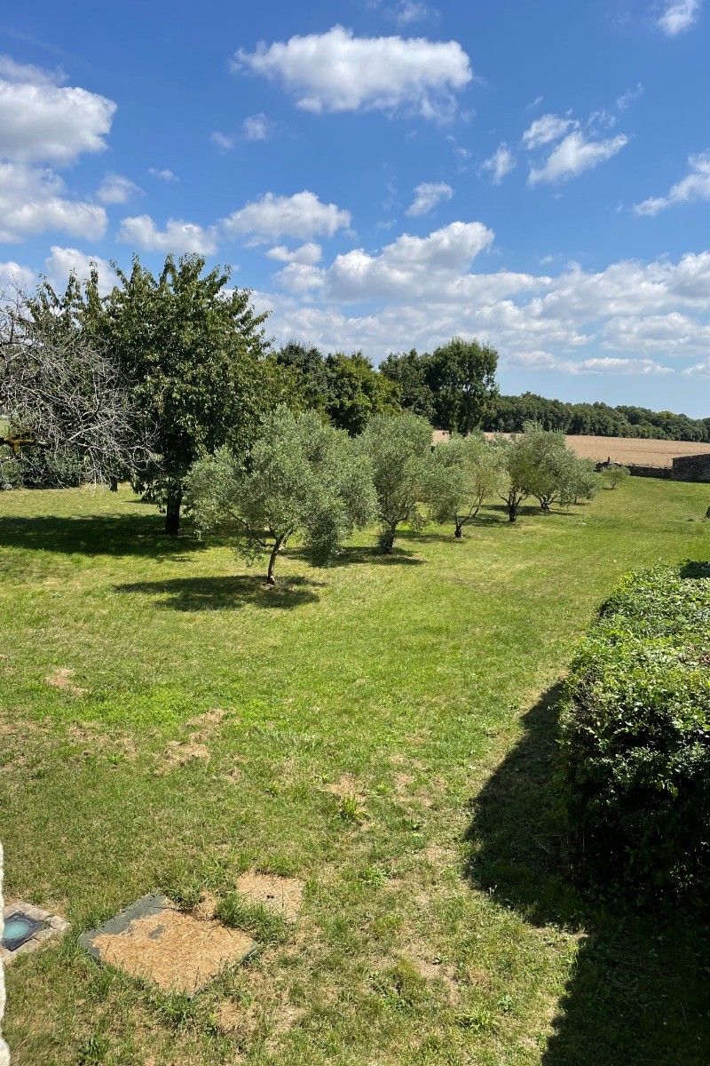 Vue sur le verger depuis la première chambre