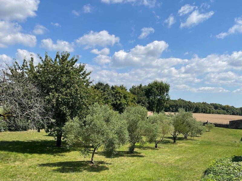 Vue sur le verger depuis la première chambre