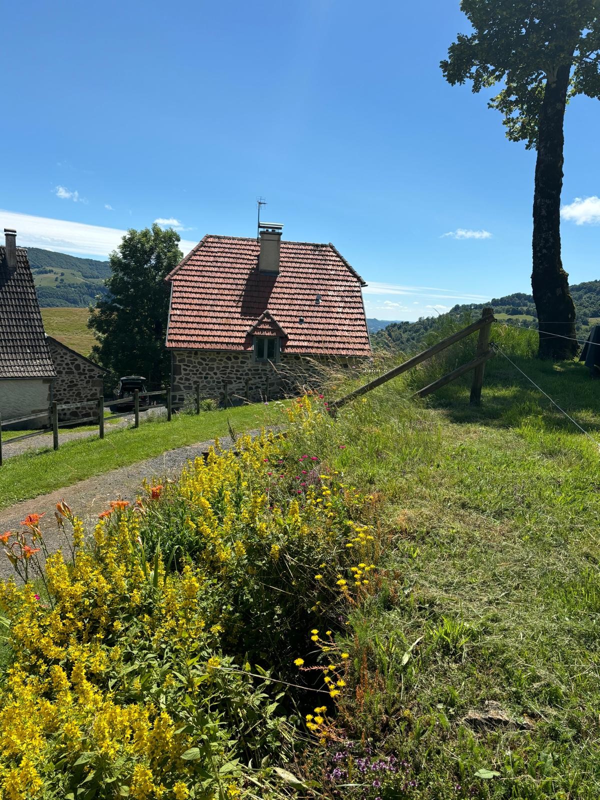 Photo n° 12 of the location