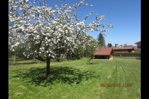 Photo n° 14 de la location