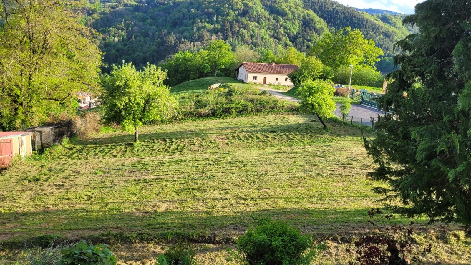 "Chez Cécile" - Olliergues - Extérieur