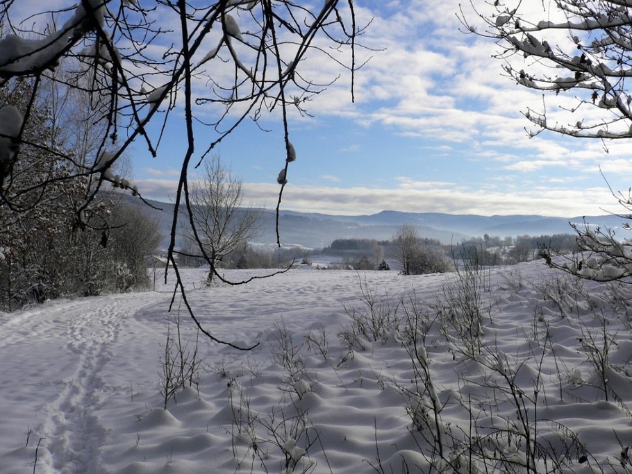 Chalet Au Pied du Kemberg - hiver - Vosges - ski - neige