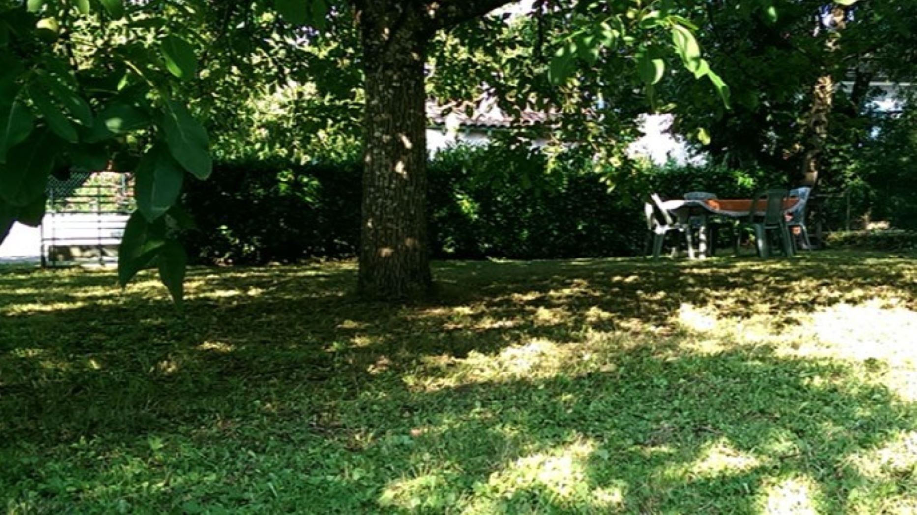 Jardin