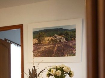 Photo n° 9 of the location