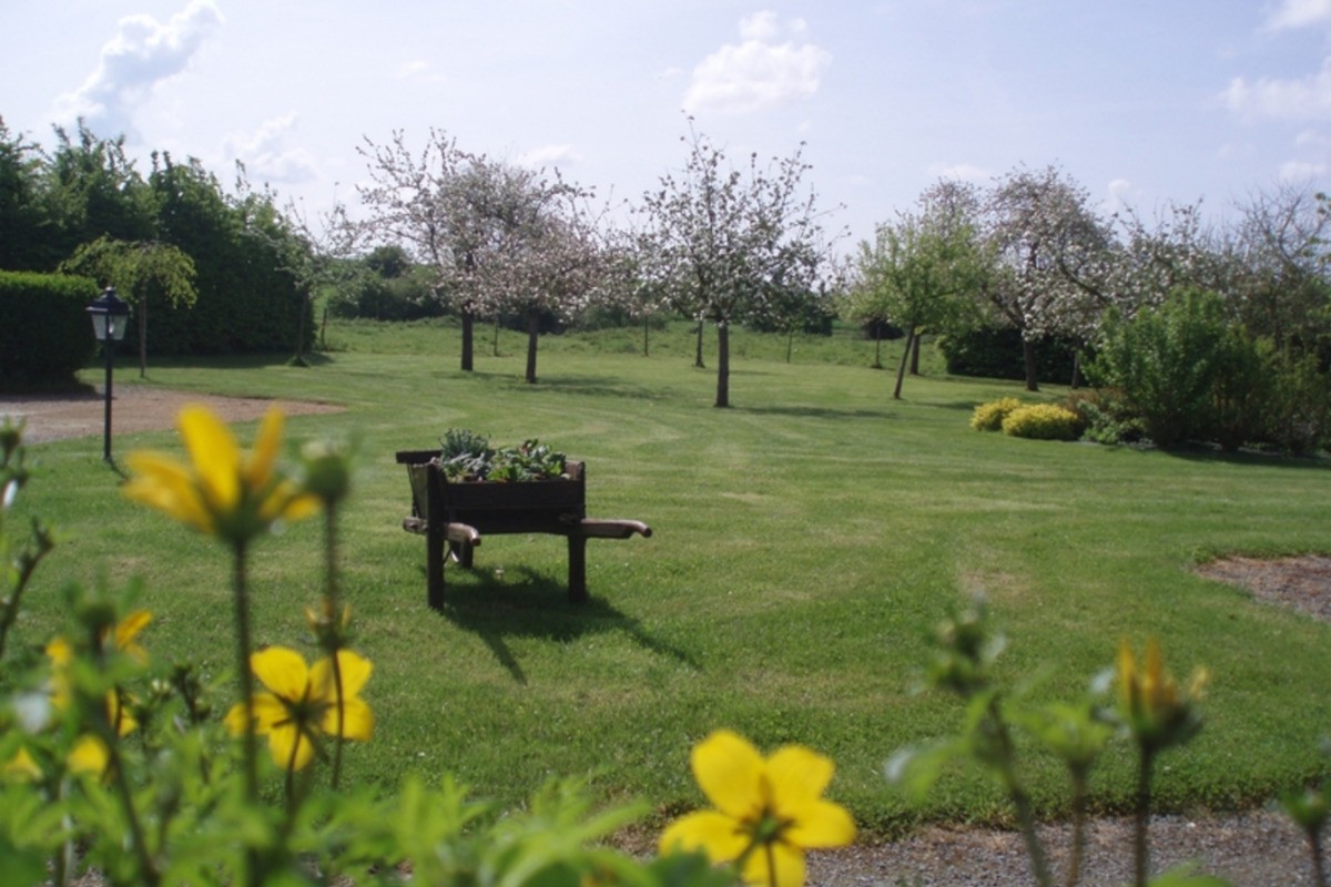 Le jardin au printemps
