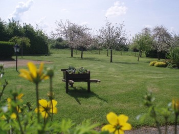 Le jardin au printemps