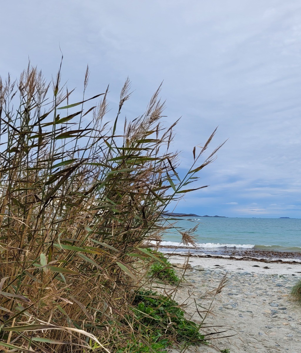 Location 4 personnes, proche mer, Trevou Tréguignec, paysages alentours - Le bihan