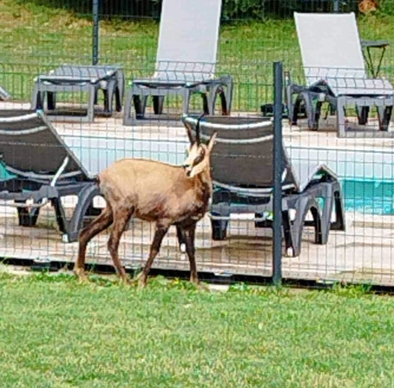 Les habitants du parc
Chut