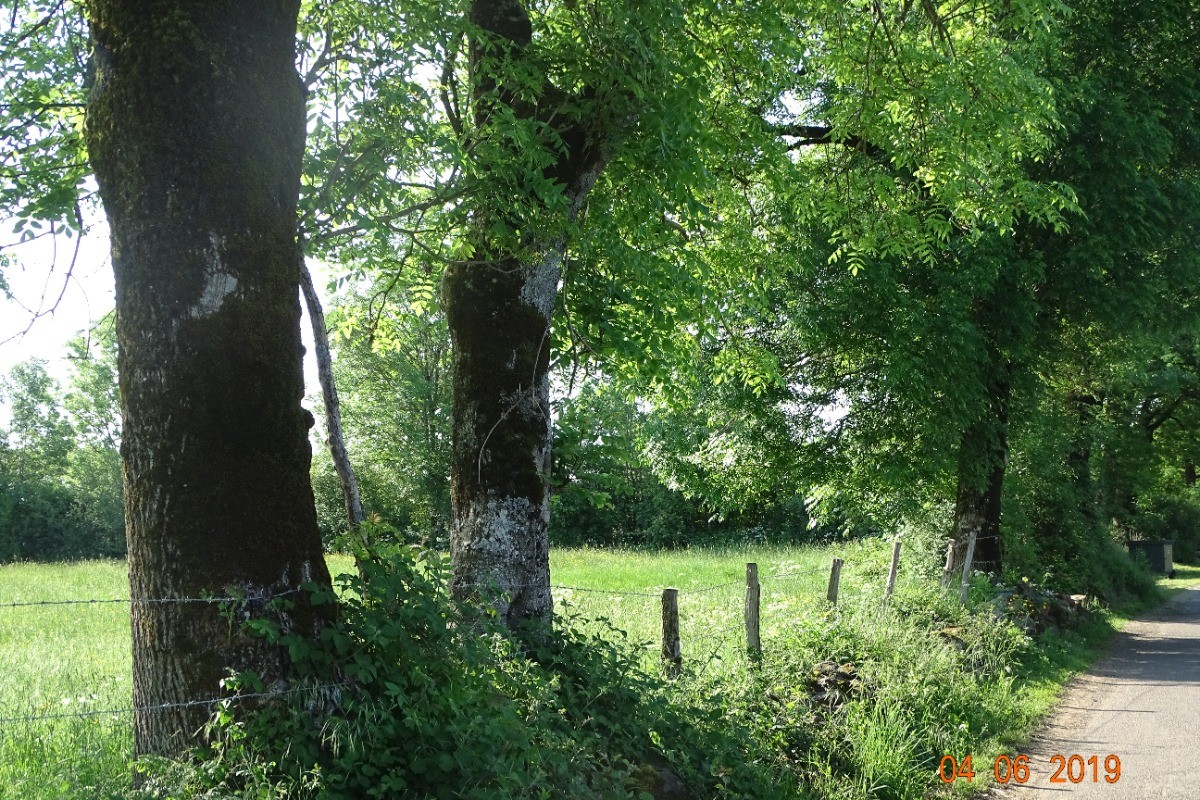 Photo n° 8 de la location