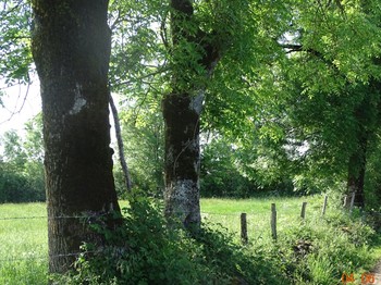 Photo n° 8 of the location