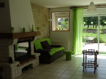 salon avec cheminée