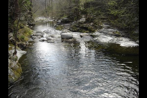 rivière