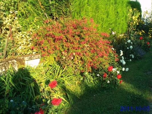 Photo n° 13 de la location